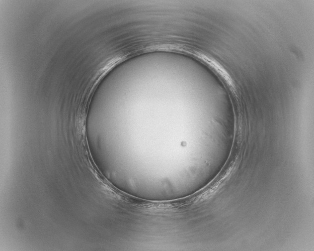 X0000116020809200912181148