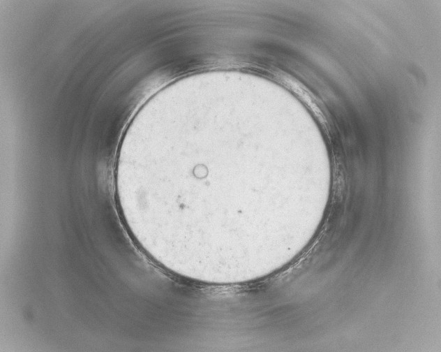 X0000116020810200912181148