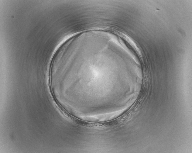 X0000116020811200912181148