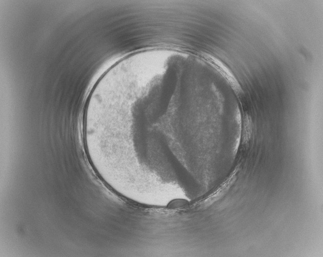 X0000116020812200912181148