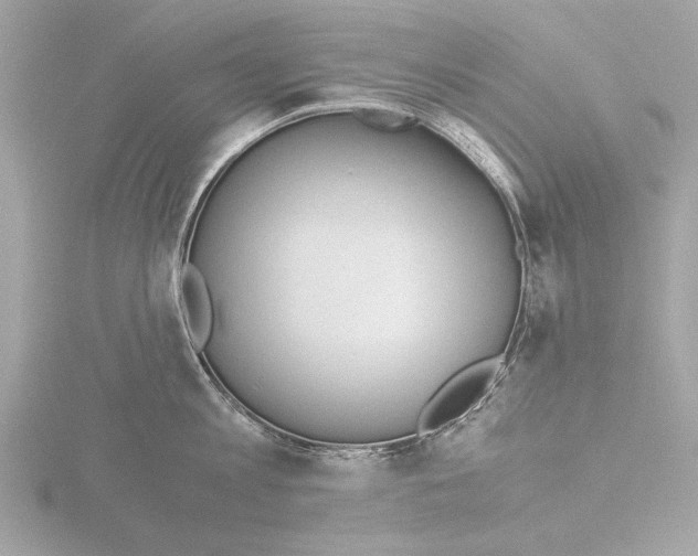 X0000116020813200912181148