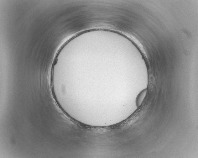 X0000116020815200912181148