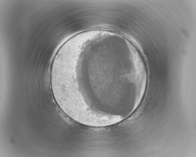 X0000116020816200912181148