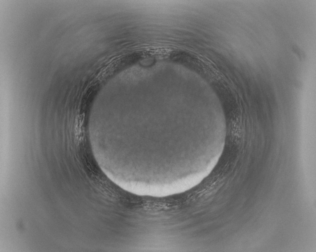 X0000116020818200912181147