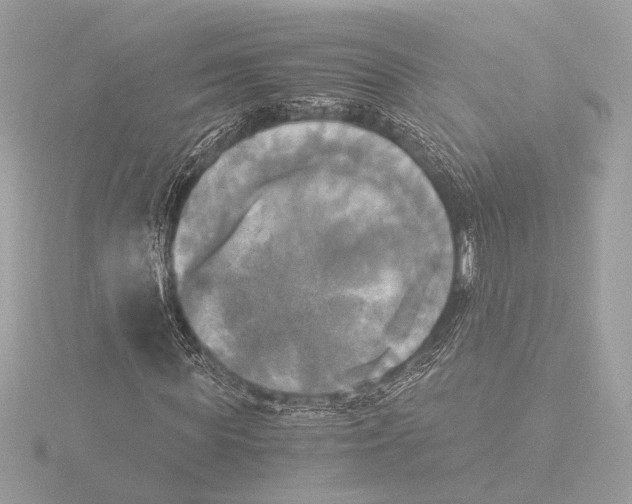 X0000116020819200912181147