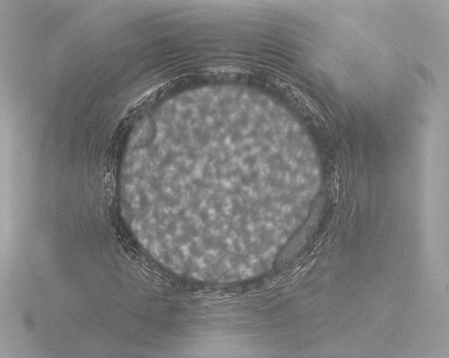 X0000116020821200912181147