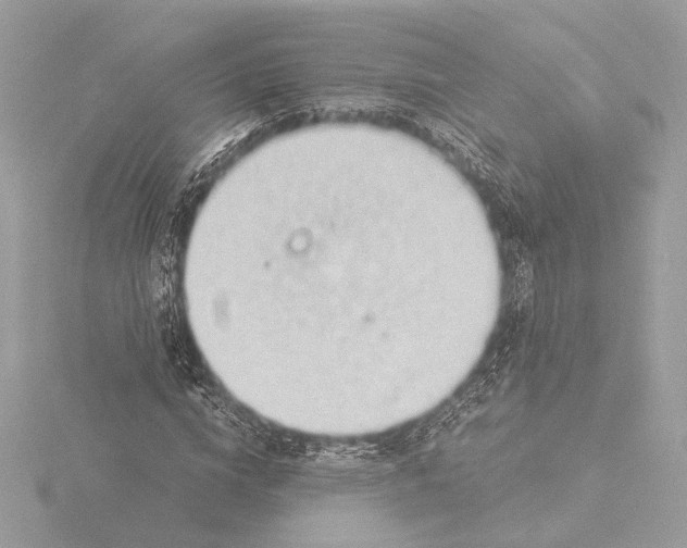 X0000116020824200912181147