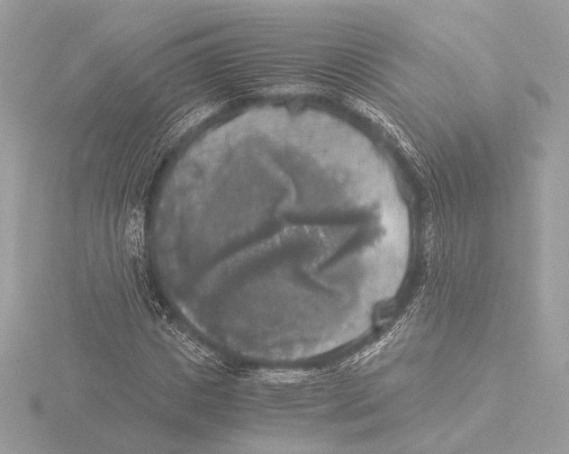 X0000116020825200912181147