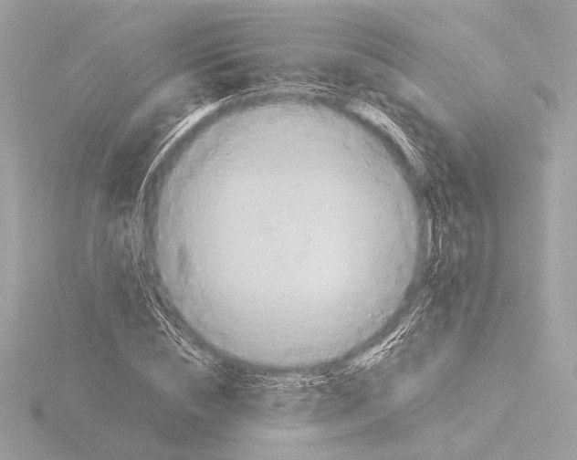 X0000116020828200912181147