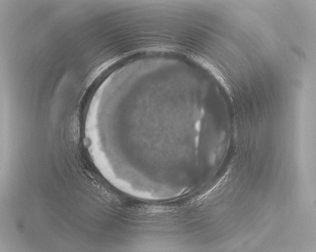 X0000116020829200912181147