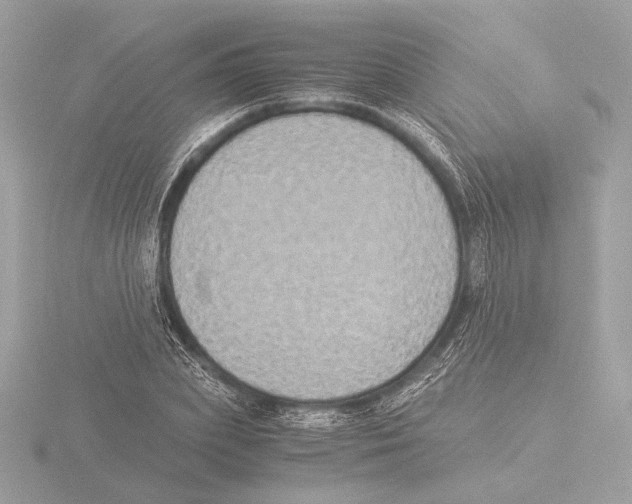 X0000116020831200912181147