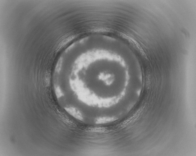 X0000116020833200912181147