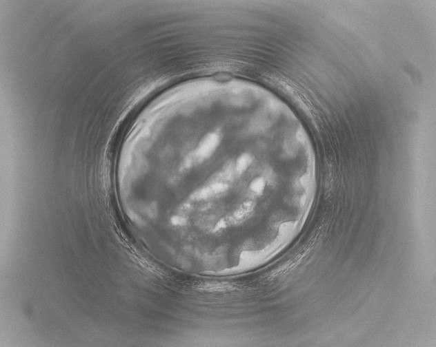 X0000116020835200912181148