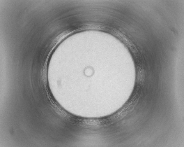 X0000116020836200912181148