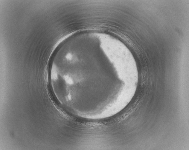 X0000116020838200912181148