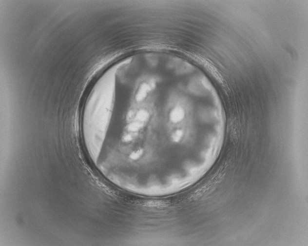 X0000116020839200912181148