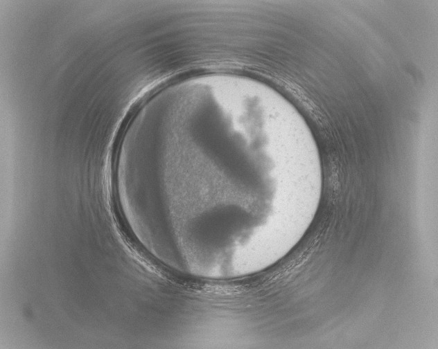 X0000116020840200912181148