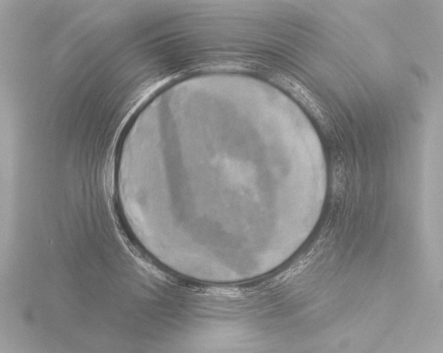 X0000116020844200912181148