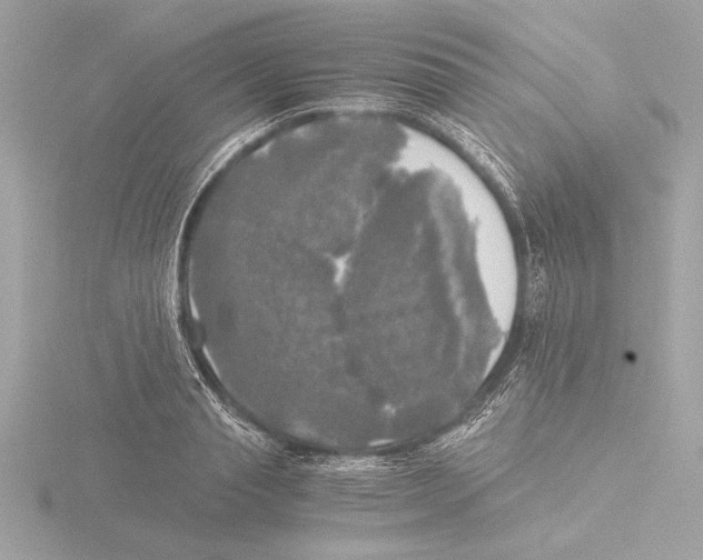 X0000116020845200912181148