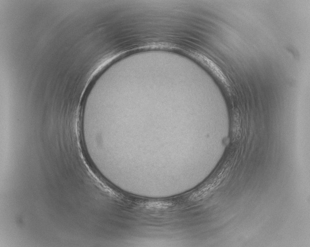 X0000116020847200912181148