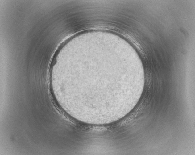 X0000116020848200912181148