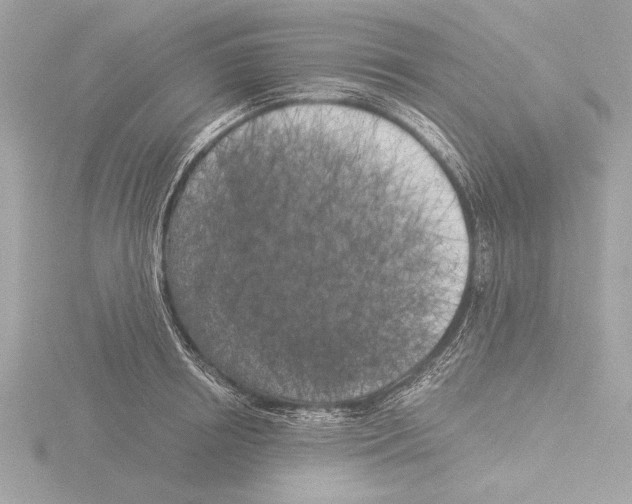 X0000116020850200912181148