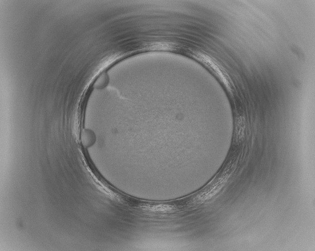 X0000116020851200912181148