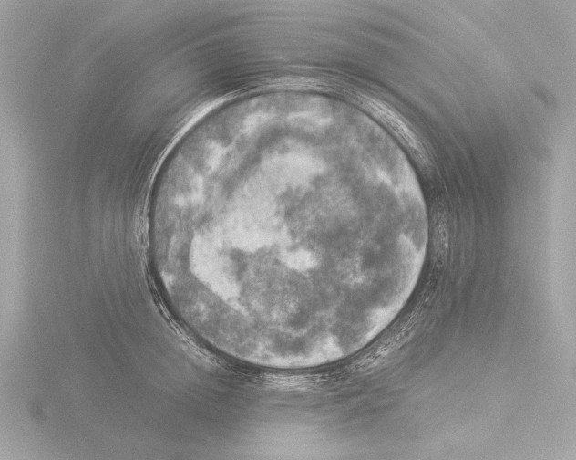 X0000116020852200912181148