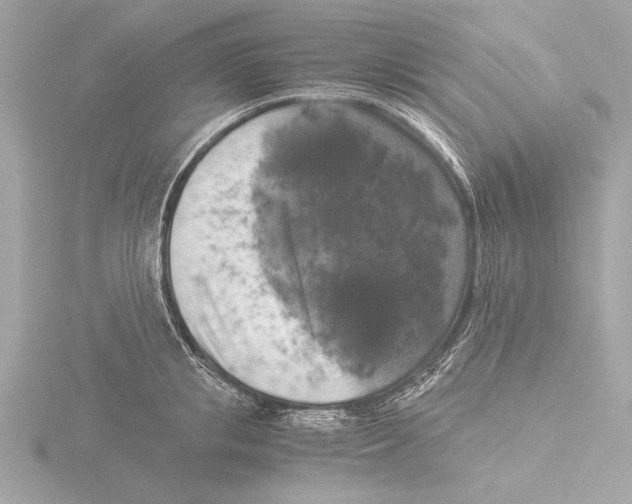 X0000116020853200912181148