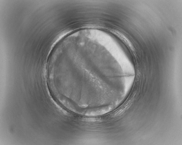 X0000116020855200912181148