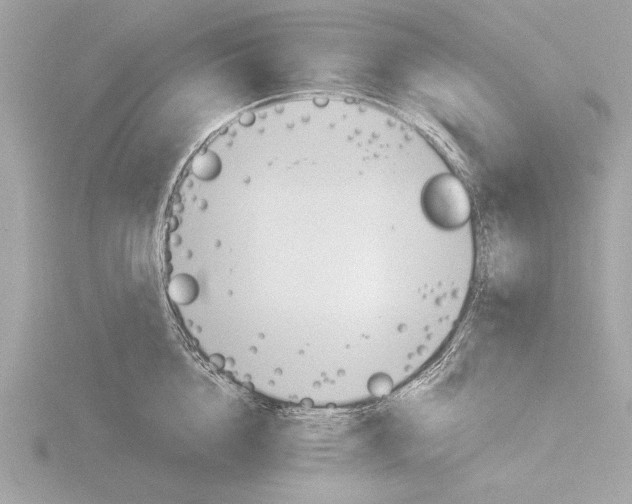 X0000116020856200912181148