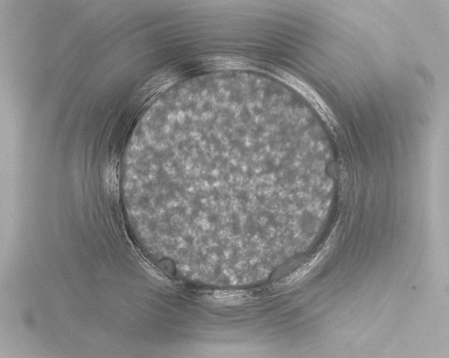 X0000116020857200912181148