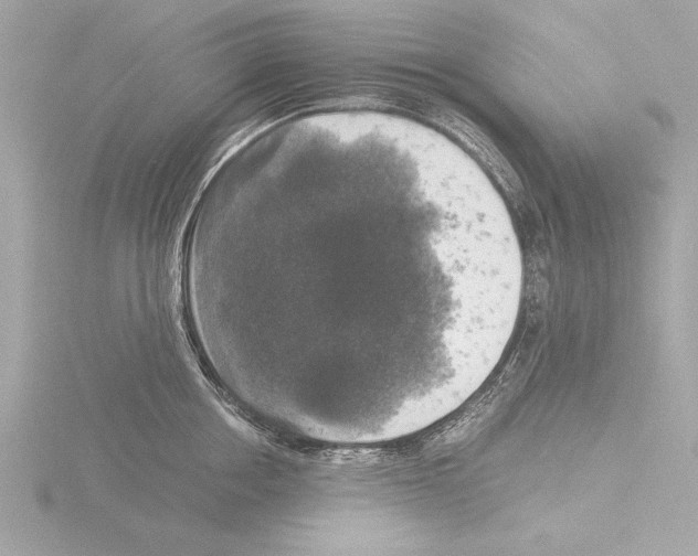 X0000116020858200912181148