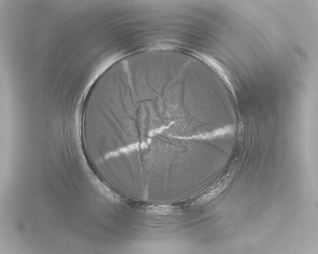 X0000116020859200912181148