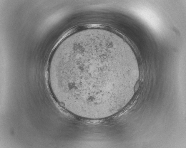 X0000116020861200912181148