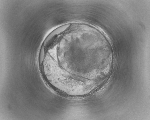 X0000116020862200912181148