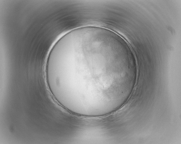 X0000116020864200912181148