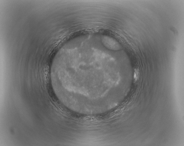 X0000116020867200912181147