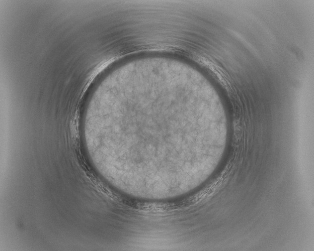 X0000116020875200912181147