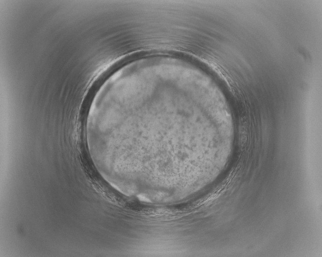 X0000116020879200912181147