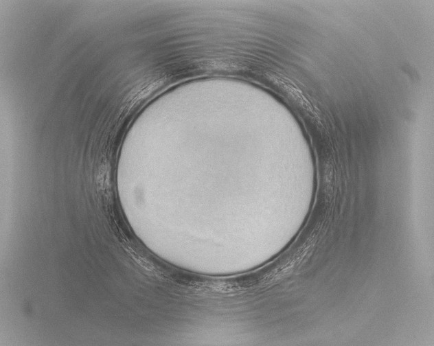 X0000116020881200912181147