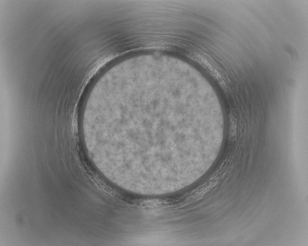 X0000116020883200912181147