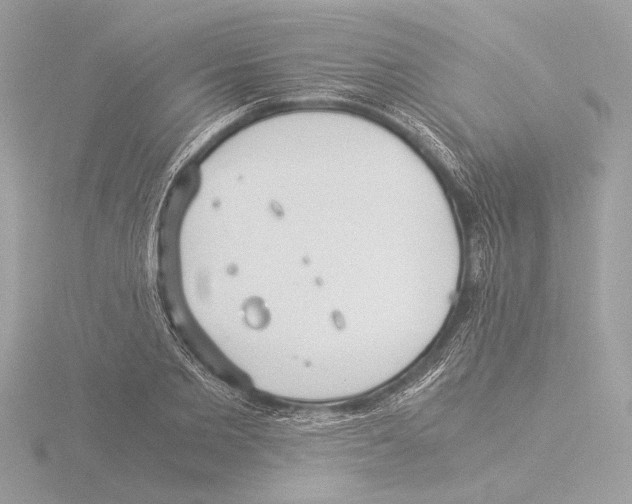 X0000116020885200912181147