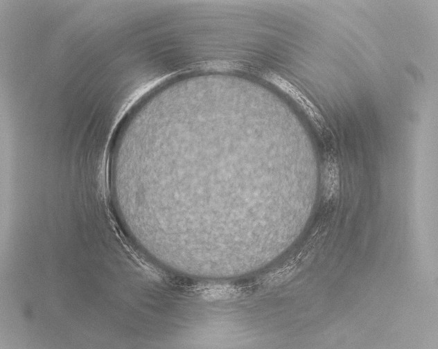 X0000116020886200912181147