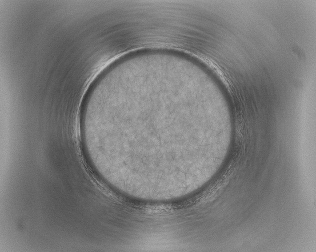 X0000116020887200912181147