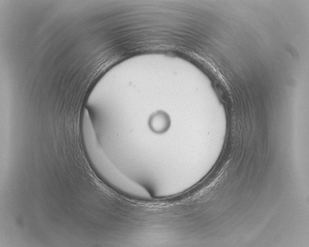 X0000116020889200912181147