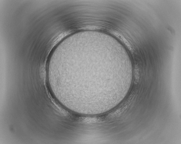 X0000116020890200912181147