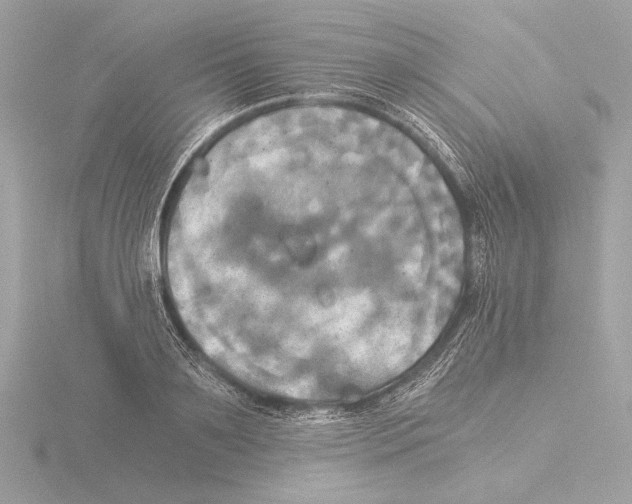 X0000116020891200912181147