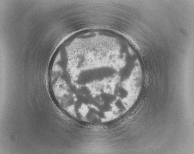 X0000116020895200912181147