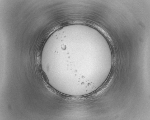 X0000116020905200912181147